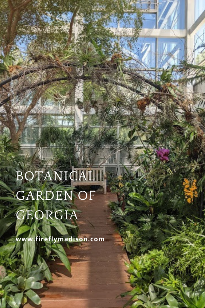 State Botanical Garden of Georgia rainforest sitting area