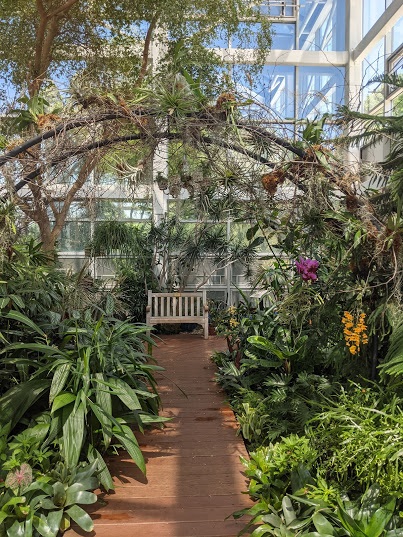 nice sitting area at the rain forest building