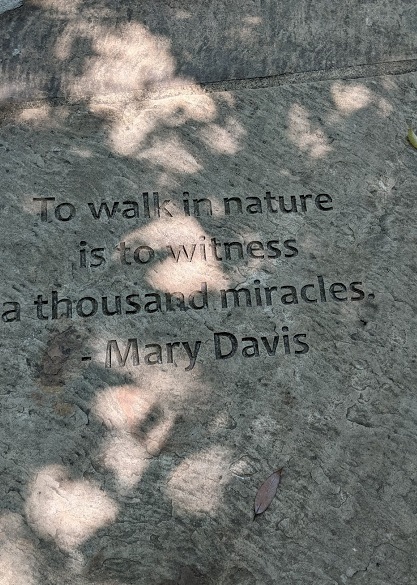 Mary Davis quote