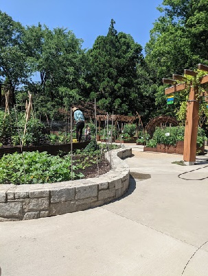 Productive Garden at the State Botanical Garden of Georgia