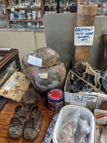 Dinosaur eggs in Attic Treasures