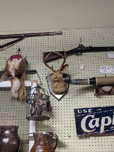 Jackalope and stuffed monkey head