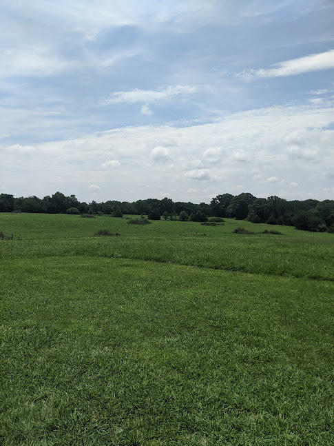 Pasture in Elbert County were the guidestones sit