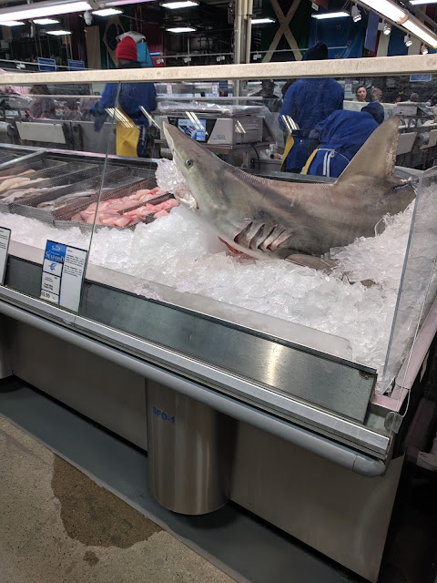 The Most Dangerous Animal in Georgia is not this poor shark, who is on ice at the Dekalb Farmer's Market