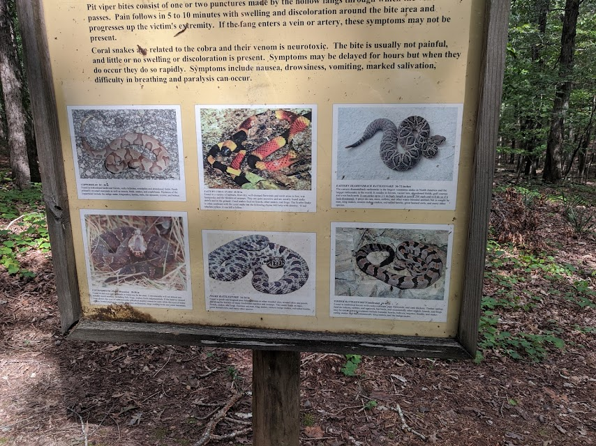 This snake display is at the Rock Hawk. The Most Dangerous Animal in Georgia is not the snake.