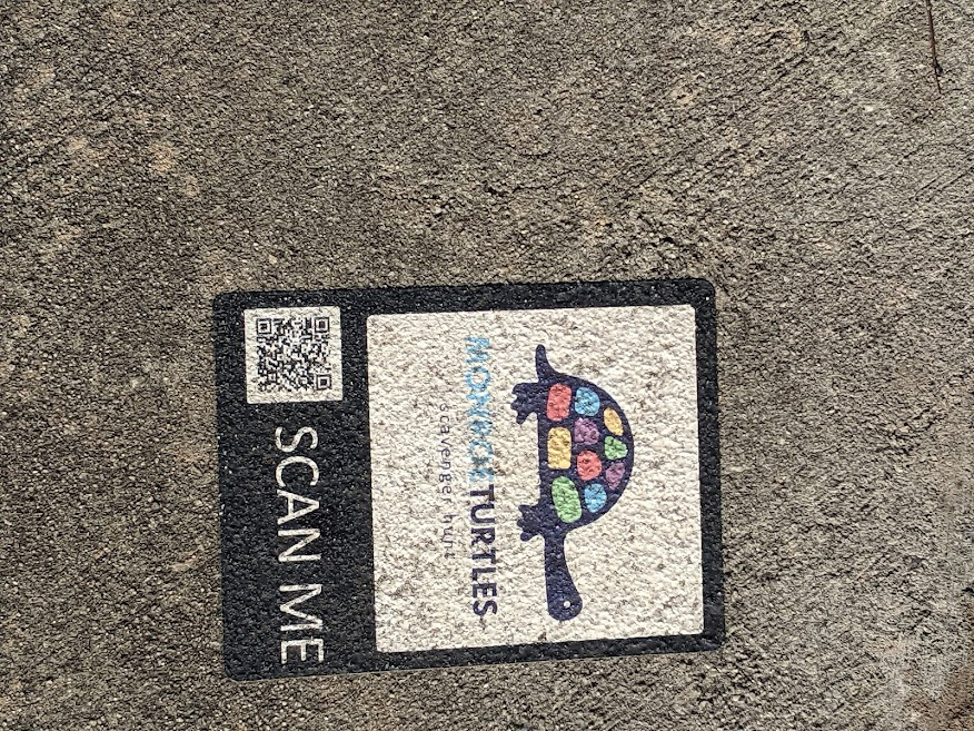 Monroe Turtle sticker in front of the courthouse