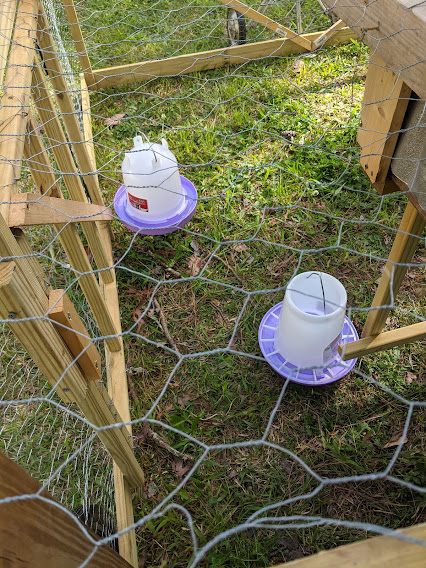 chicken feeders hanging from wires