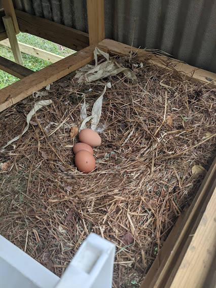 chicken tractor nesting box