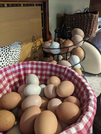 Navigating the Challenges of Homesteading: Pitfalls to Know