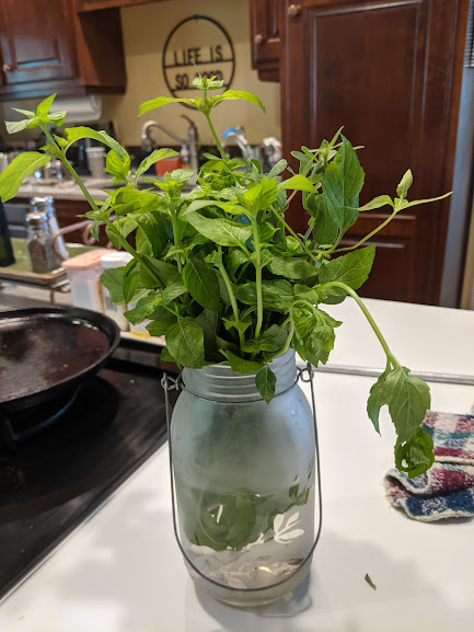 Edible Landscaping in Georgia