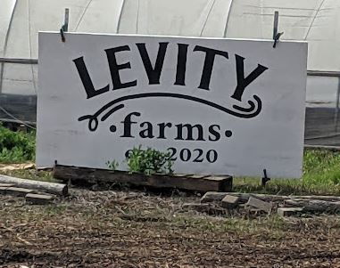 Introduction to Permaculture Farming at Levity Farms